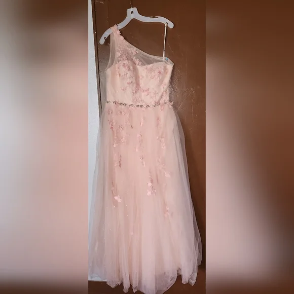 jules and cleo pink dress Anyone anywhere have this dress in a size 16? My daughter just decided to  go to prom and this was her dream dress. Will pay shipping. Thanks!